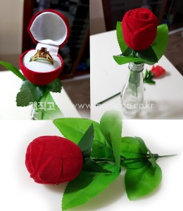 프로포즈용 장미 반지함 (로즈데이)    Rose Ring Box Rose Day for Proposal