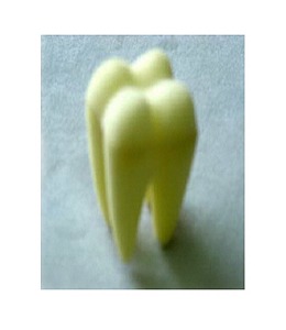 4인치 Tooth(어금니)4 inch Tooth molar