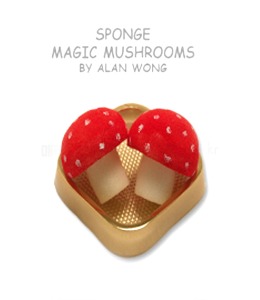 Sponge Mushrooms