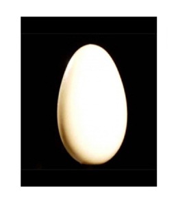 Wooden Egg