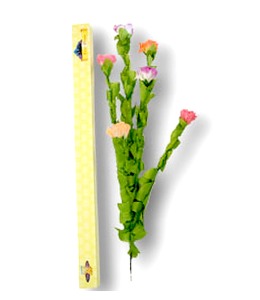 지팡이 꽃 Cane Plume