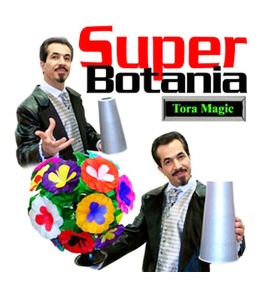 슈퍼보타니아 18송이     Super Bitania 18 blooms