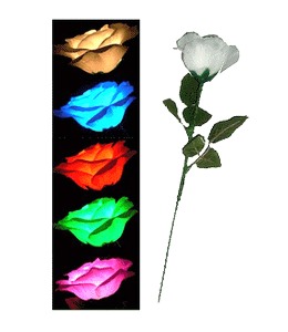 멀티컬러 슈퍼 로즈(충전기포함)     Multicolor Super Rose