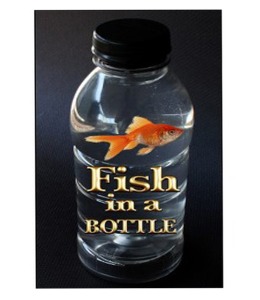 플래쉬인 보틀    Fish in a Bottle