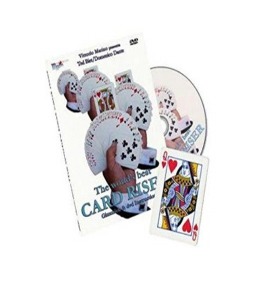 114번 카드 라이징-기믹 포함  CARD RISER - DVD