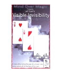비시블 인비져빌리티 Visible Invisibility