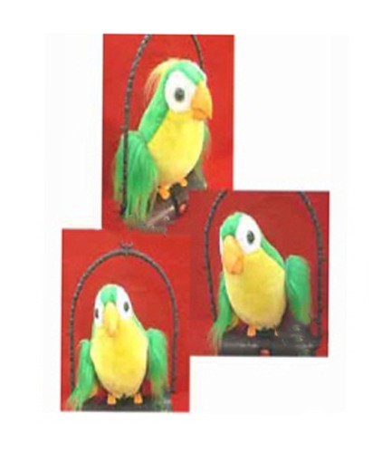 말하는 앵무새Talking parrot
