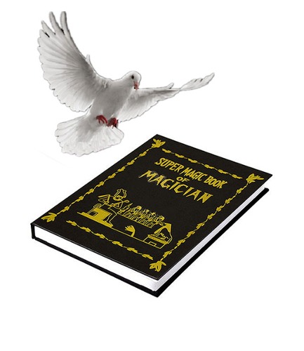 도브북    Dove Book