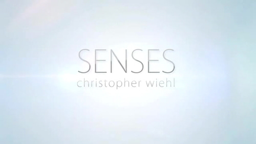 센스 ( 기믹포함)  Senses  - DVD