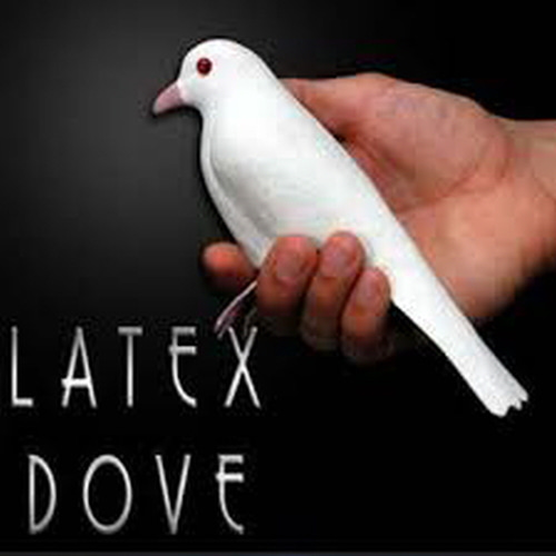 베니싱 도브 (라텍스)Vanishing Dove (Latex)