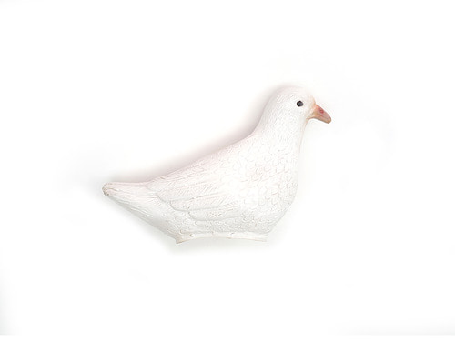 고무 비둘기Rubber Dove