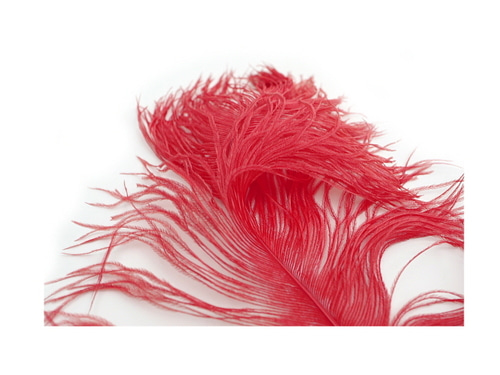 타조 깃털 (빨강색)    Ostrich feather (Red)