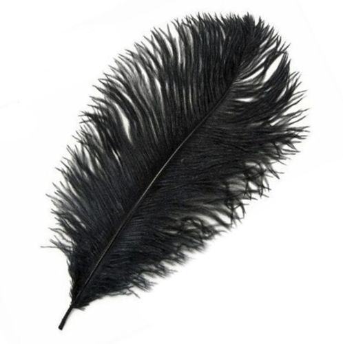타조 깃털 (검정색)    Ostrich feather (black)