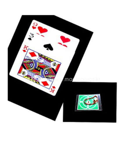 스핀 카드 [해법제공]    Spin card