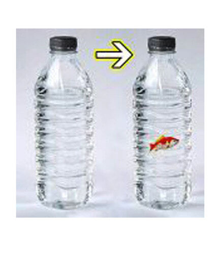 금붕어 나타나기      Fish in a Bottle