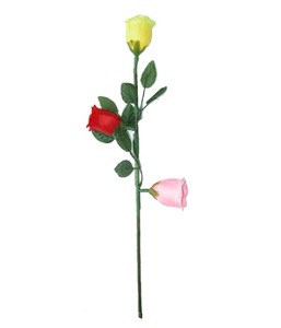 삼색 장미 + 실크  [해법제공]      Tricolor Rose + Silk