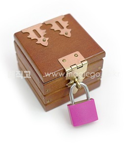 Mini Locked Box (Ring Box)