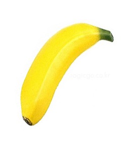 어피어링 바나나Appearing Banana