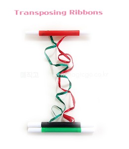 Transposing Ribbons