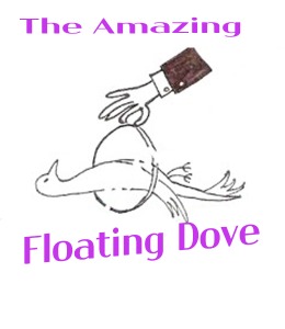 비둘기 공중부양 [해법제공]   Dove levitation
