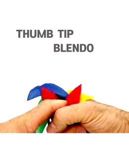 덤팁 블랜도   Thumb Tip Blendo