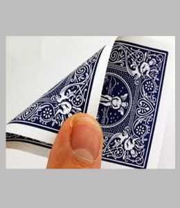 바이시클 더블 백(블루-블루)    카드 양면이 뒷면 그림인 카드백
